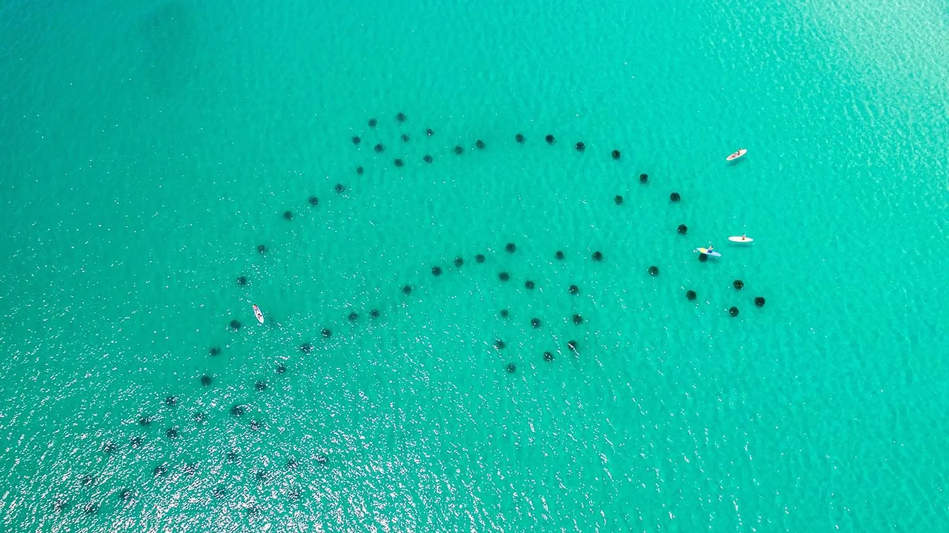 Sandpiper Cove 9228- By Holiday Isle Properties Destin United States